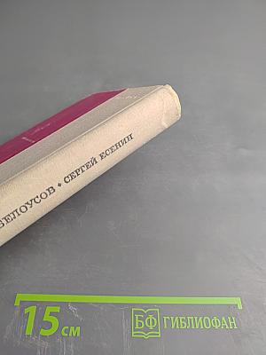 Сергей Есенин. Литературная хроника. Часть 2