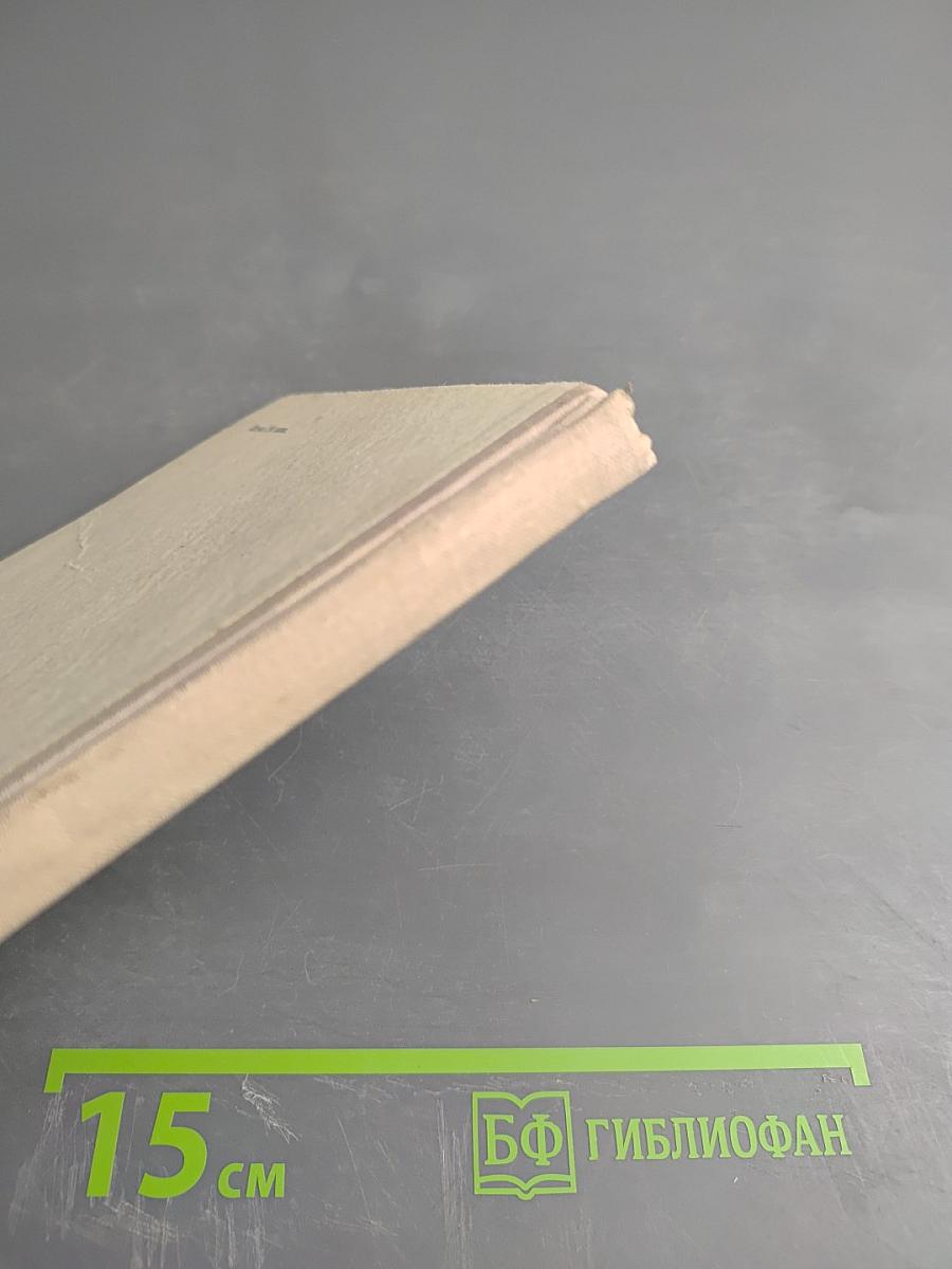 Вешенское лето