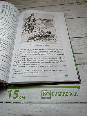Литература. 7 класс. Часть 2