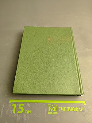 Земля и звезды