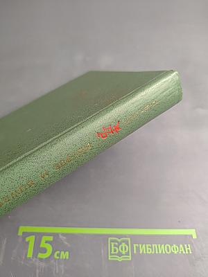 Земля и звезды