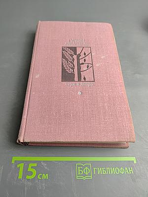 Стук в дверь