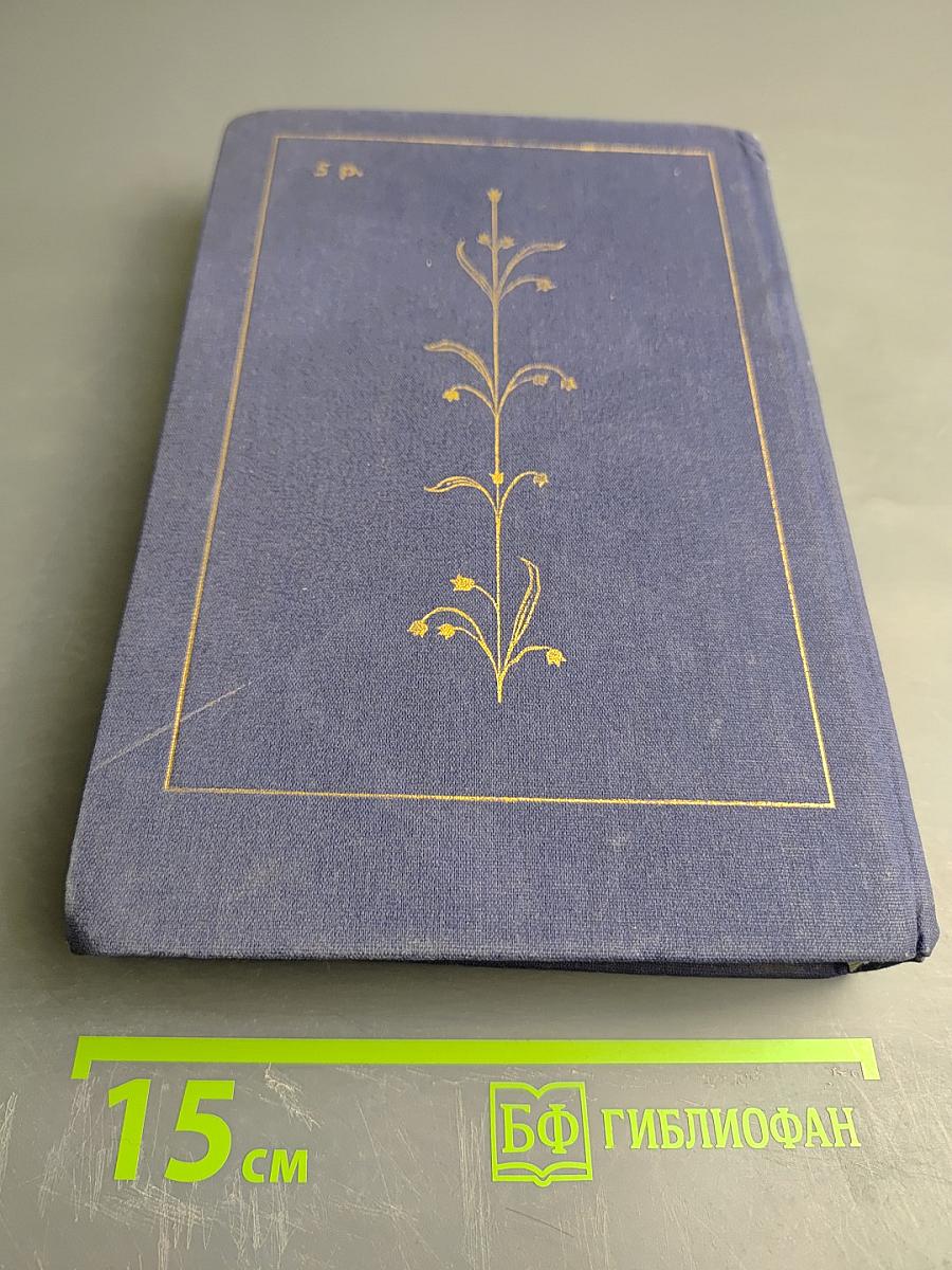 Жизнь Ивана Бунина. Беседы с памятью