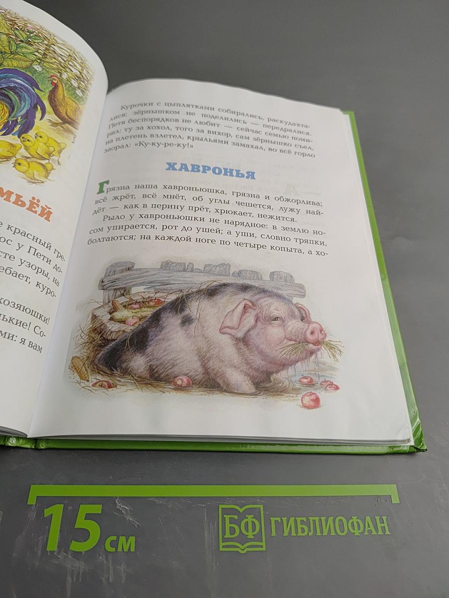 Сказки и рассказы