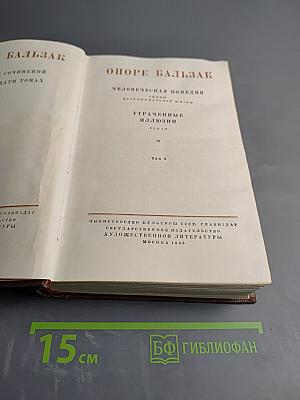 Утраченные иллюзии. Том 6