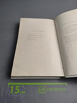 Президент не уходит в отставку
