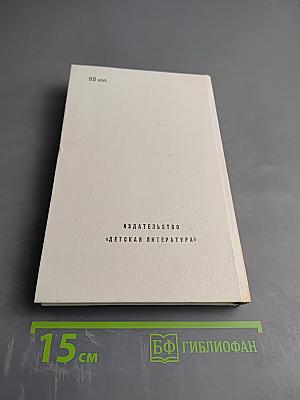 Президент не уходит в отставку
