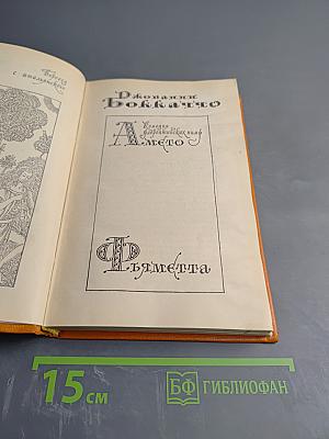 Джованни Боккаччо. Комедия флорентийских нимф Амето. Фьяметта