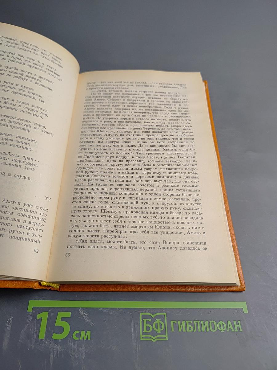 Джованни Боккаччо. Комедия флорентийских нимф Амето. Фьяметта
