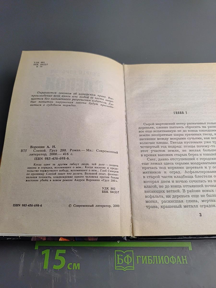 Слепой. Груз 200