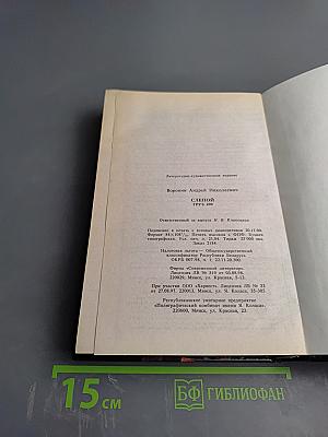 Слепой. Груз 200