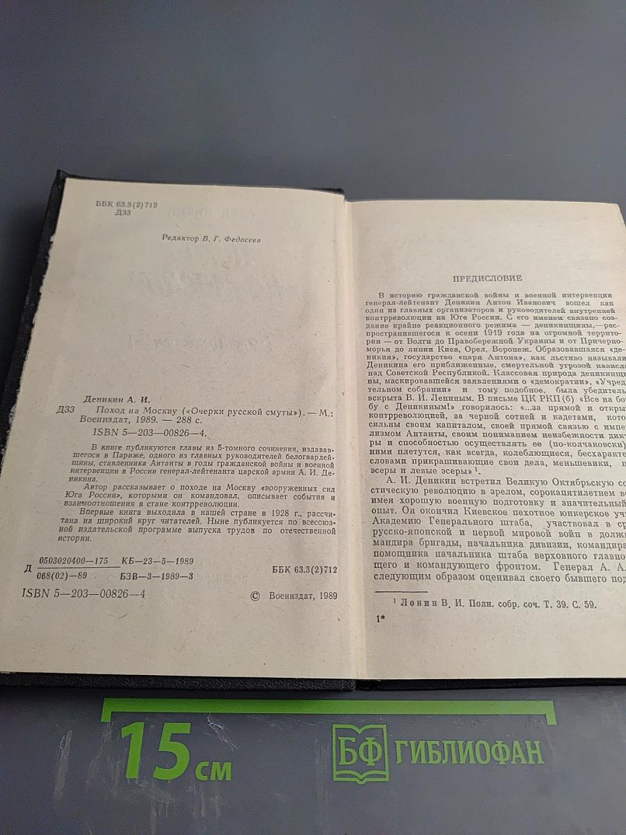 Поход на Москву. Очерки русской смуты