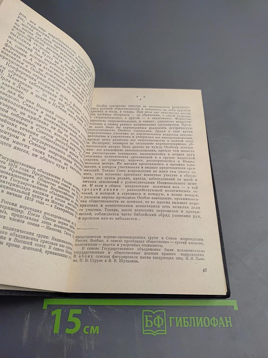 Поход на Москву. Очерки русской смуты
