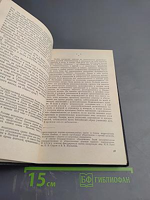 Поход на Москву. Очерки русской смуты