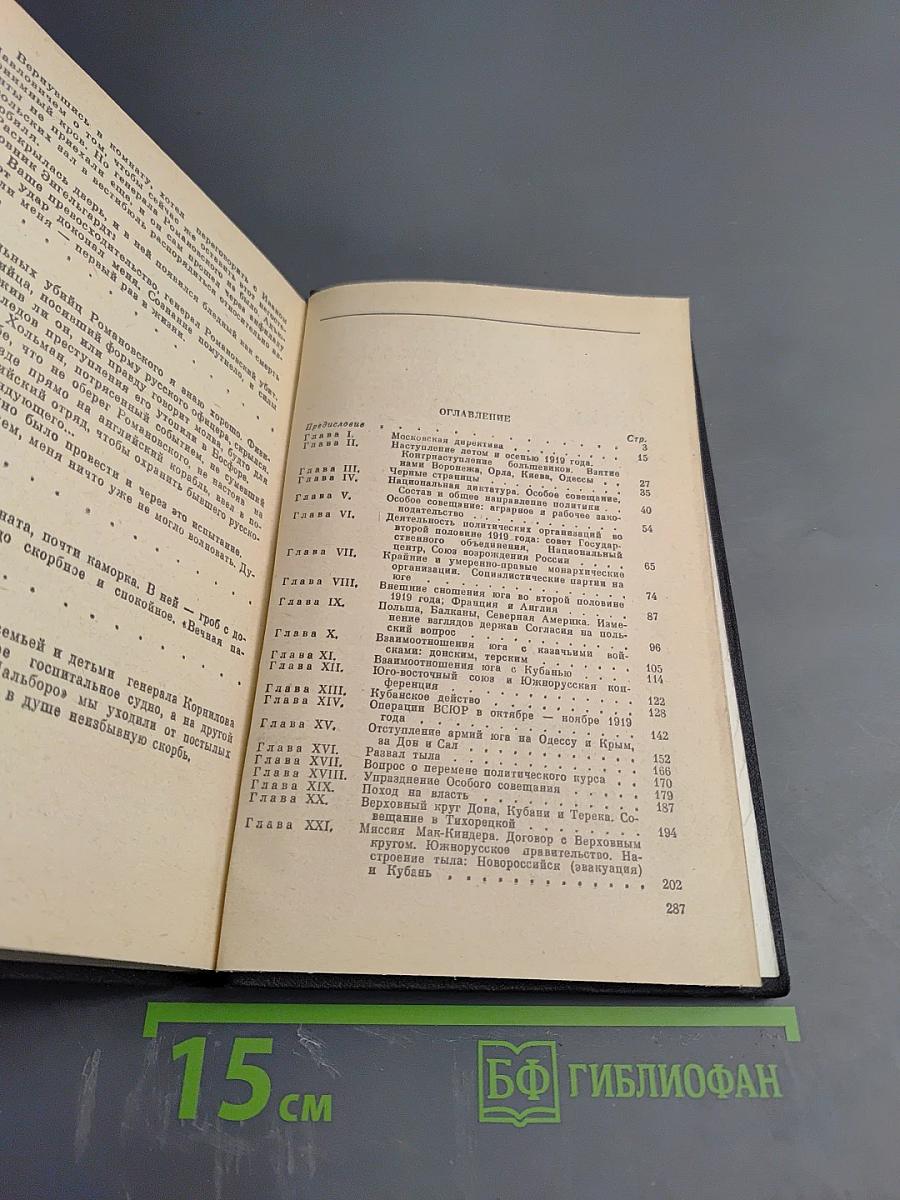 Поход на Москву. Очерки русской смуты