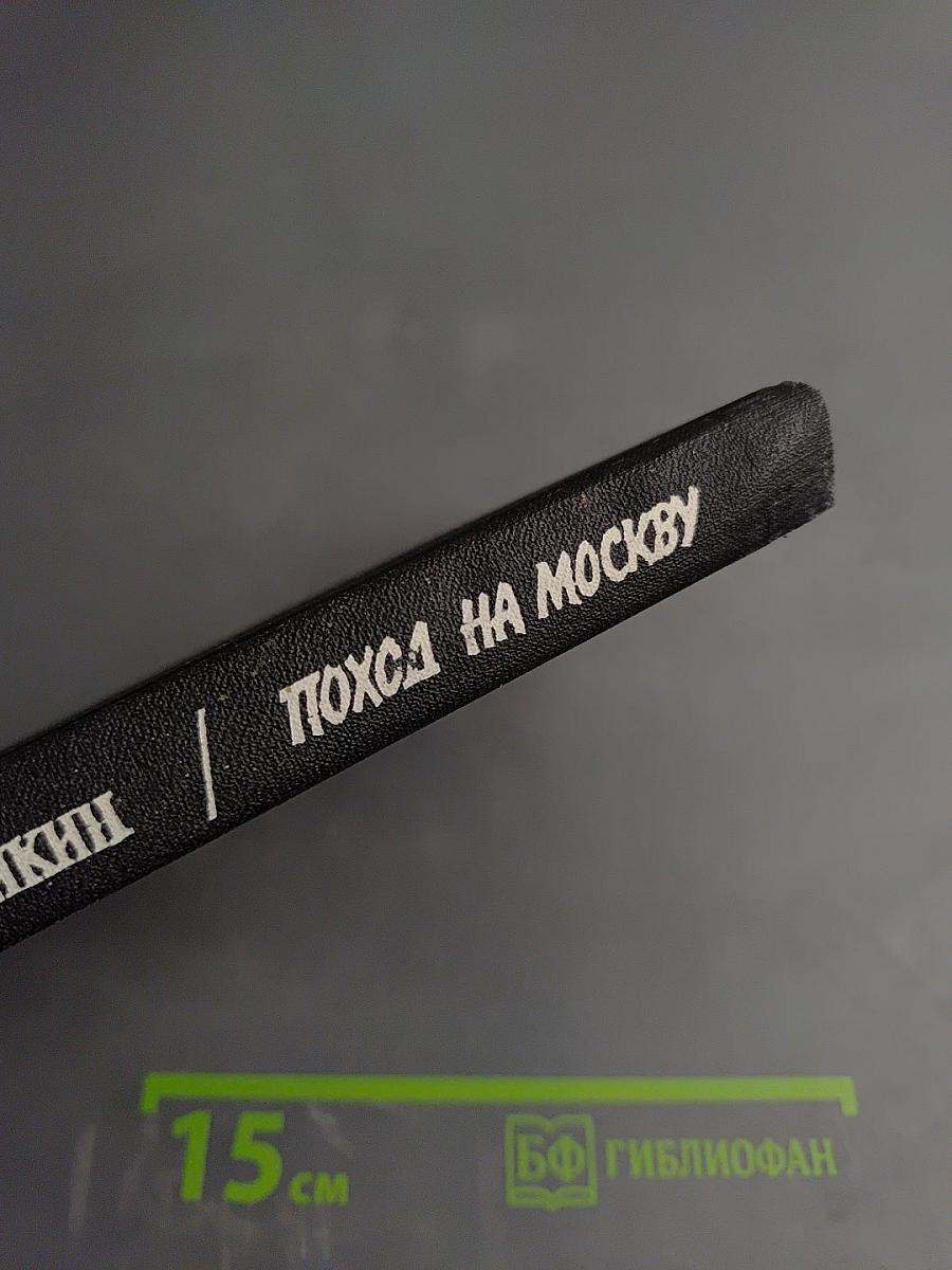 Поход на Москву. Очерки русской смуты