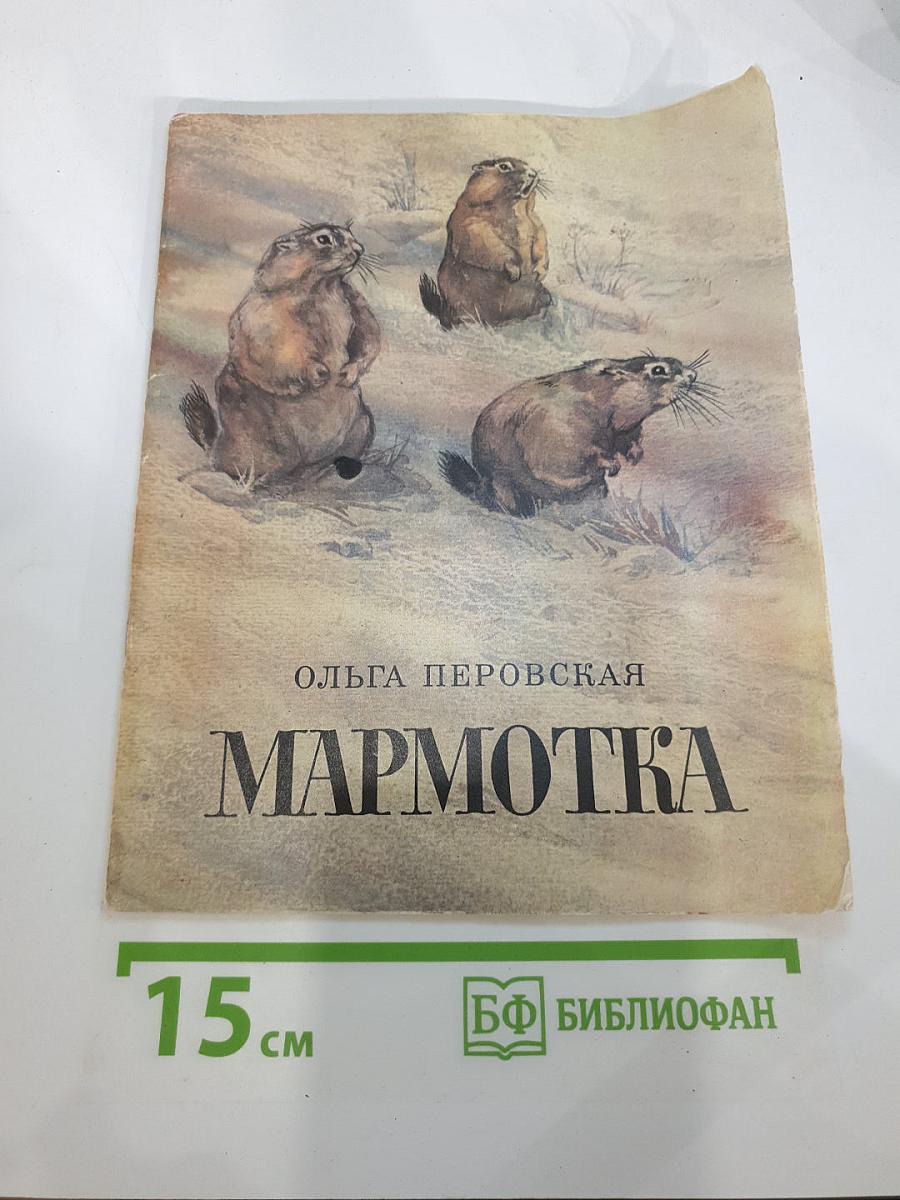 Мармотка