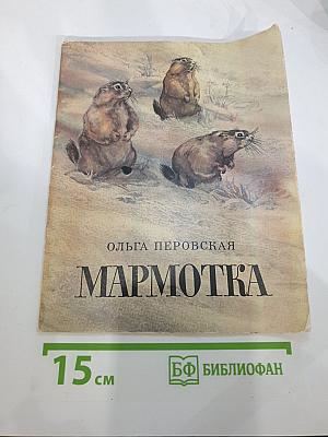 Мармотка