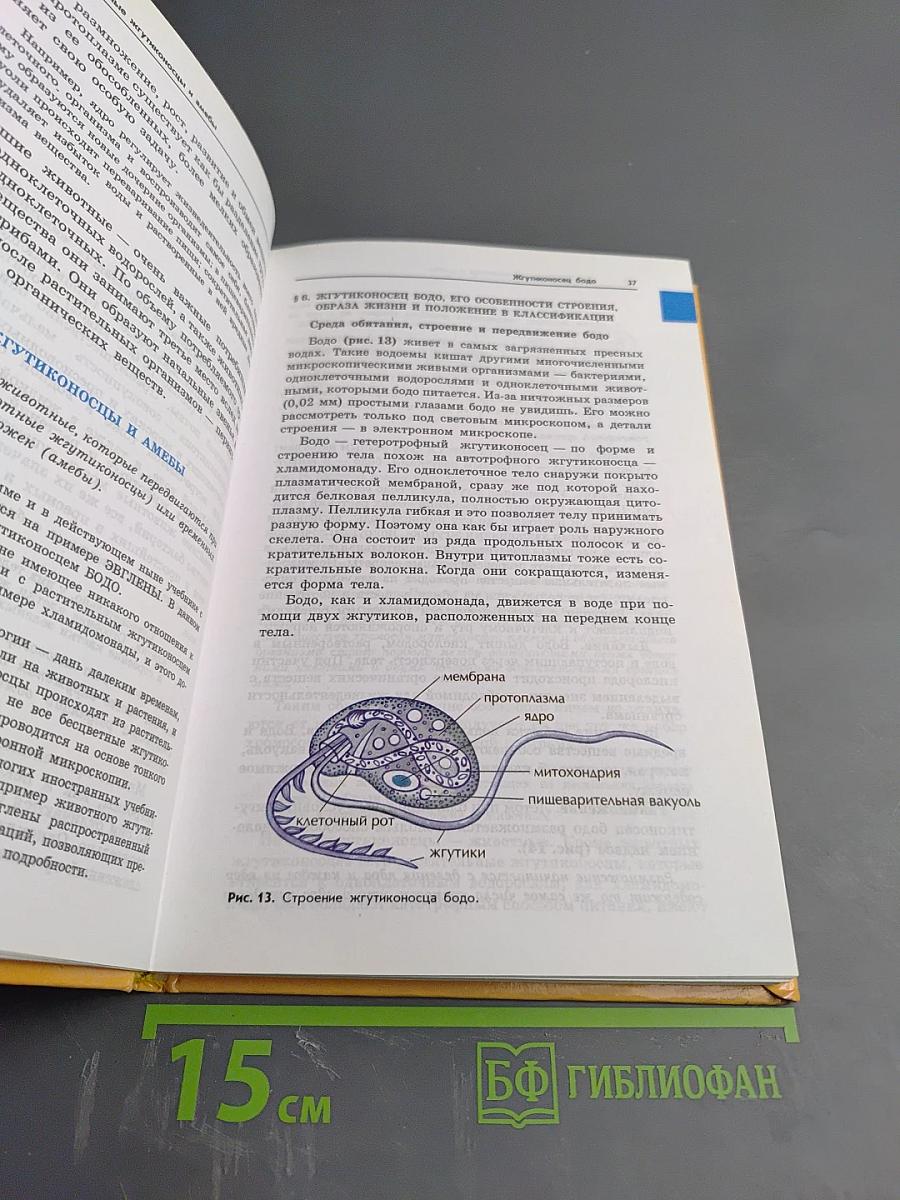 Зоология. Беспозвоночные. Для 7 класса