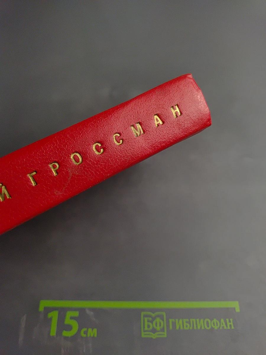 Жизнь и судьба. Том 2. Части II и III