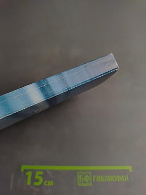 Нейроиммунология: Исследования. Клиника. Лечение. Материалы Одиннадцатой Всероссийской научно-практической конференции неврологов