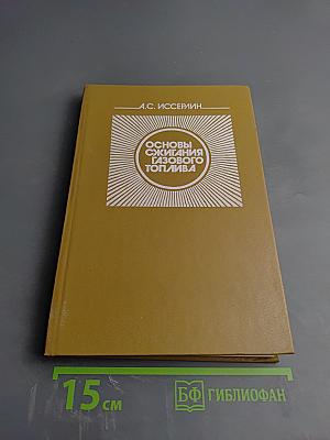 Основы сжигания газового топлива