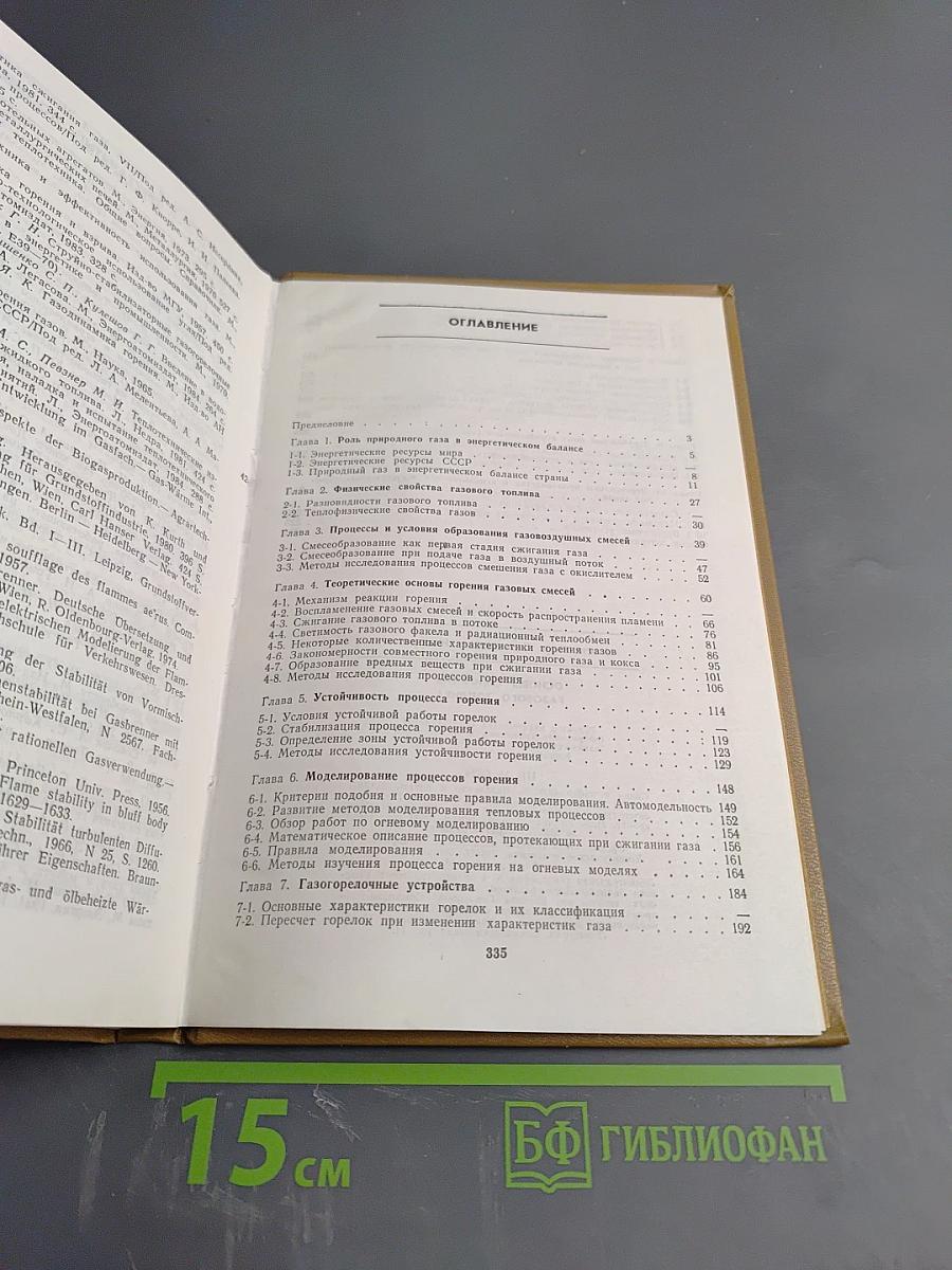 Основы сжигания газового топлива