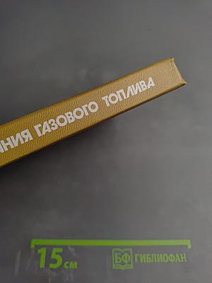 Основы сжигания газового топлива