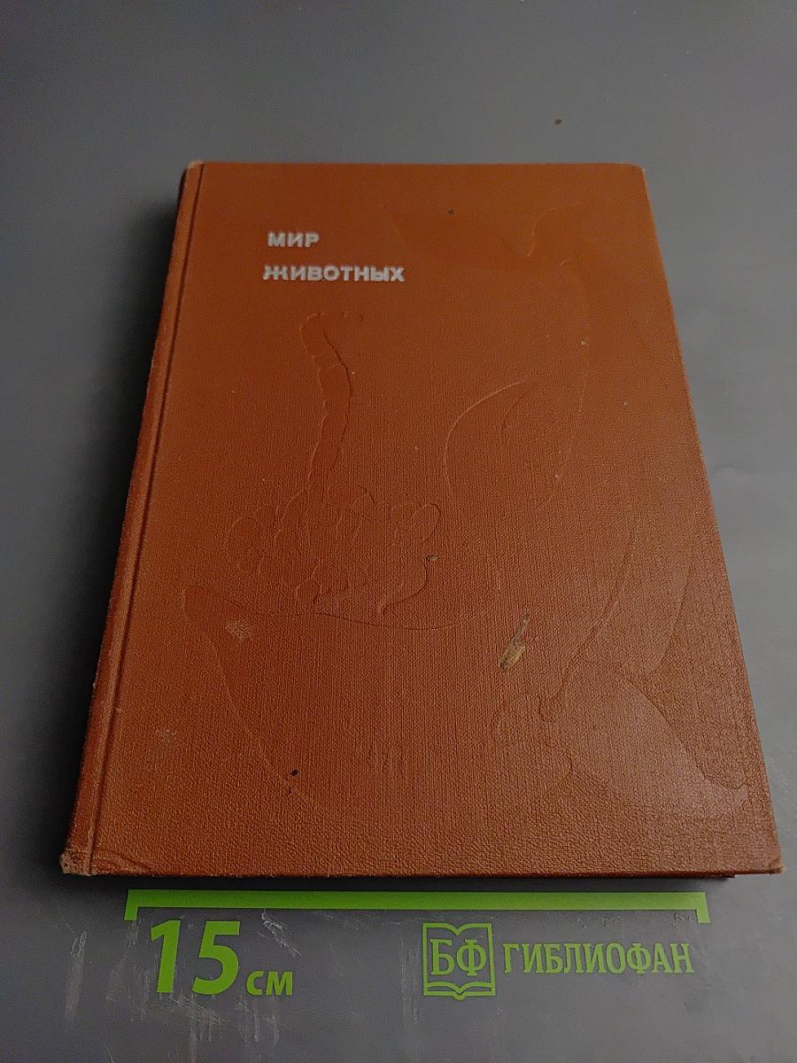 Мир животных