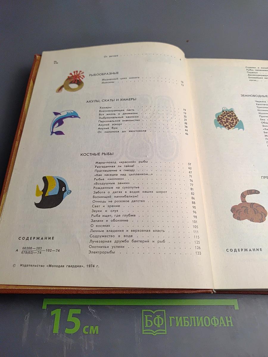 Мир животных