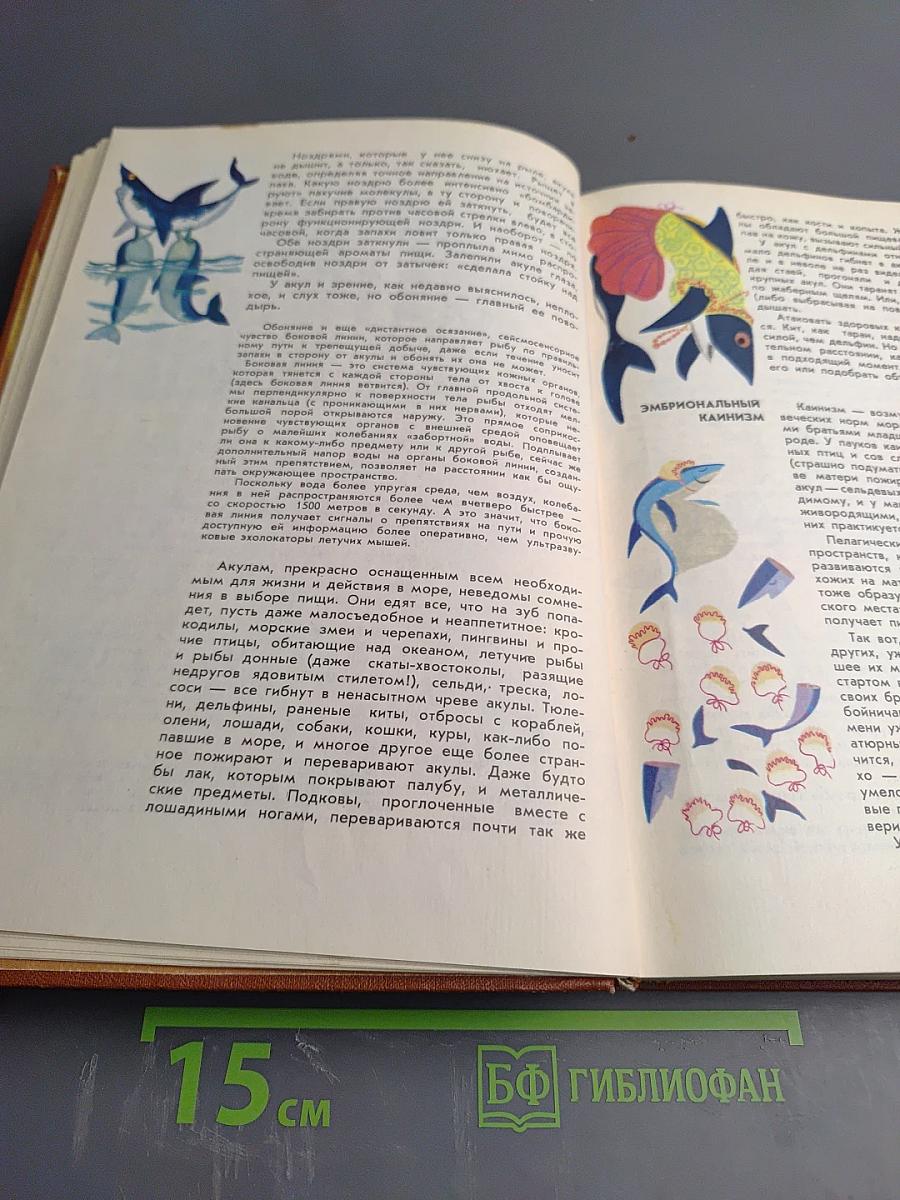 Мир животных