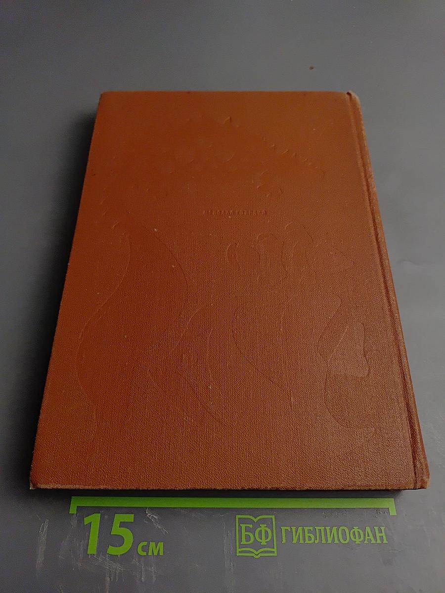 Мир животных