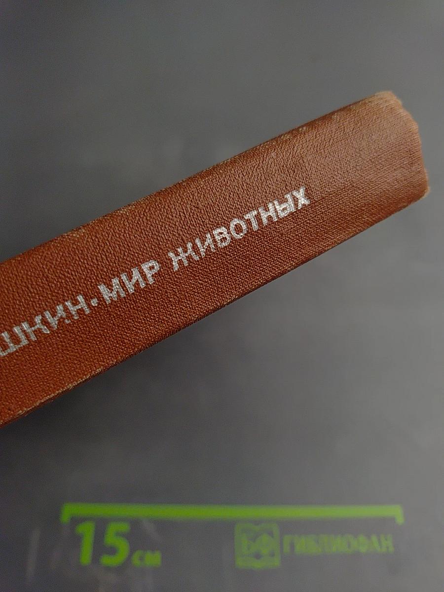 Мир животных