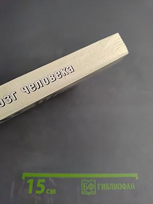 Мозг человека в механизмах информационно-управляющих взаимодействий организма и среды обитания