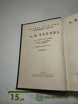 Полное собрание сочинений и писем А. П. Чехова. Том XIII. Письма (1875-1887)