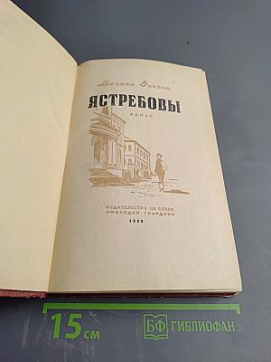 Ястребовы