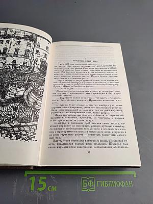 Петербургские трущобы (Книга о сытых и голодных). Книга первая. Части первая-четвертая