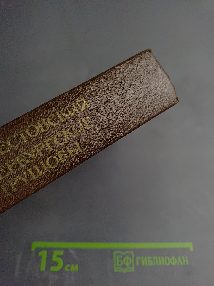 Петербургские трущобы (Книга о сытых и голодных). Книга первая. Части первая-четвертая