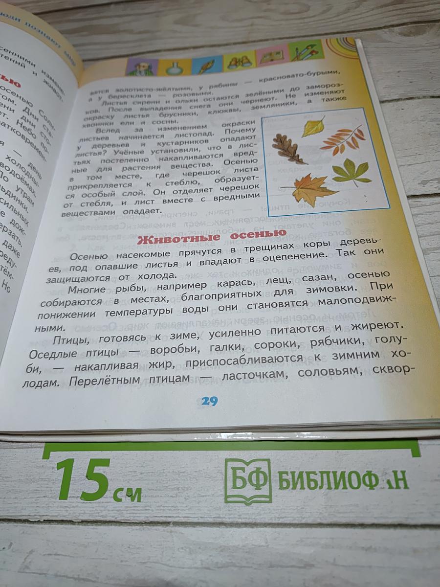 Окружающий мир для 2 класса, часть 1