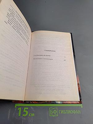 Галльские ведьмы. Короли Иса