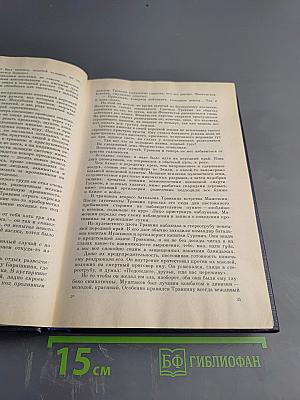 Звезда, Весна на Одере