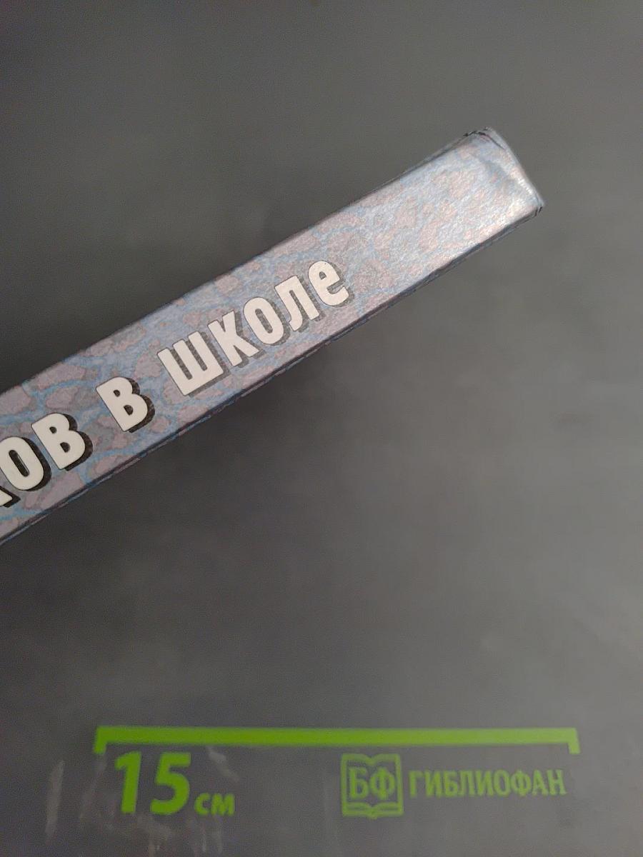 Лесков в школе