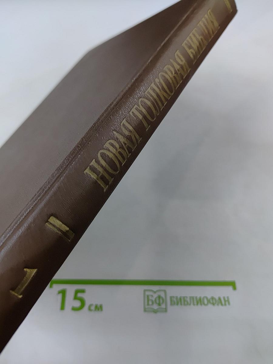 Новая Толковая Библия. С иллюстрациями Гюстава Доре. Том 1