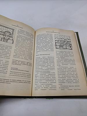 Домашнее консервирование фруктов, ягод и овощей