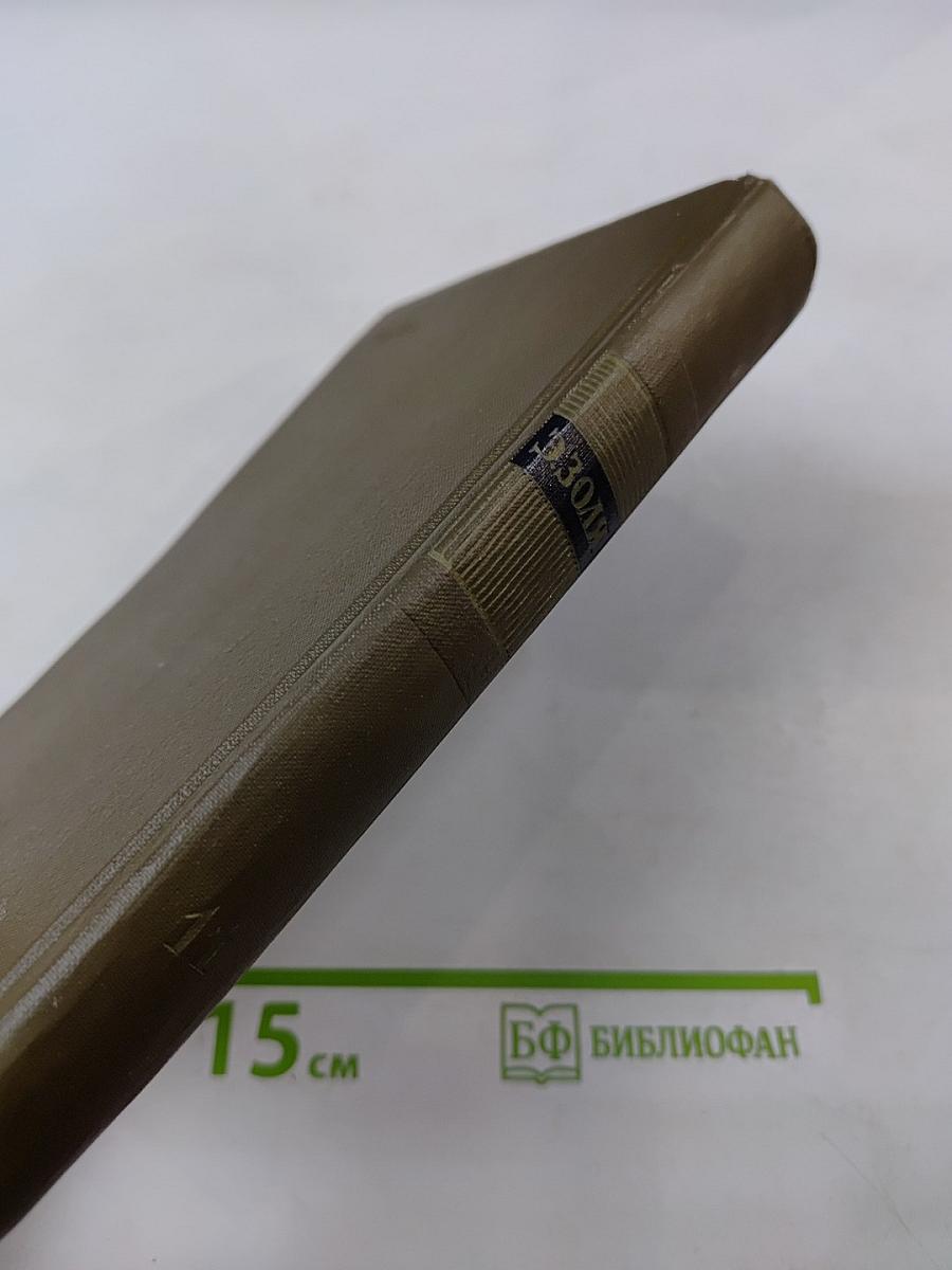 Собрание сочинений. Том одиннадцатый. Ругон-Маккары. Творчество