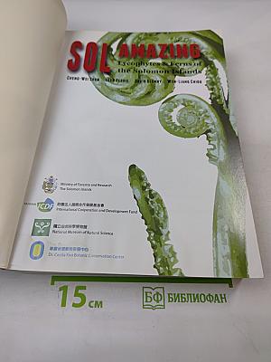 Sol amazing Lycophytes & Ferns of the Solomon Islands