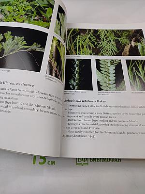 Sol amazing Lycophytes & Ferns of the Solomon Islands