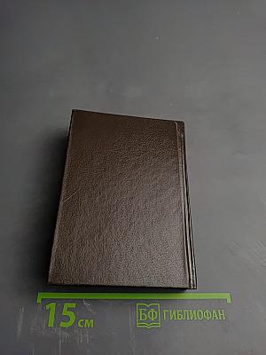 Beginner's English - Russian, Russian - English Dictionary of American English Usage. Англо-русский, русско-английский словарь для начинающих с разговорником и грамматическим справочником (Американский вариант)