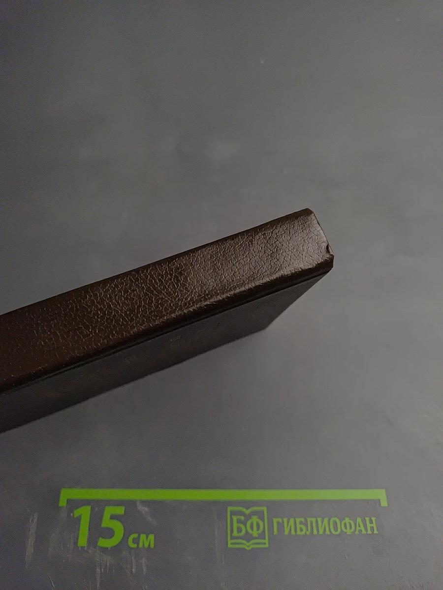 Beginner's English - Russian, Russian - English Dictionary of American English Usage. Англо-русский, русско-английский словарь для начинающих с разговорником и грамматическим справочником (Американский вариант)