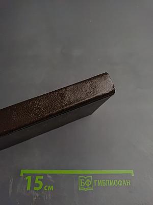 Beginner's English - Russian, Russian - English Dictionary of American English Usage. Англо-русский, русско-английский словарь для начинающих с разговорником и грамматическим справочником (Американский вариант)